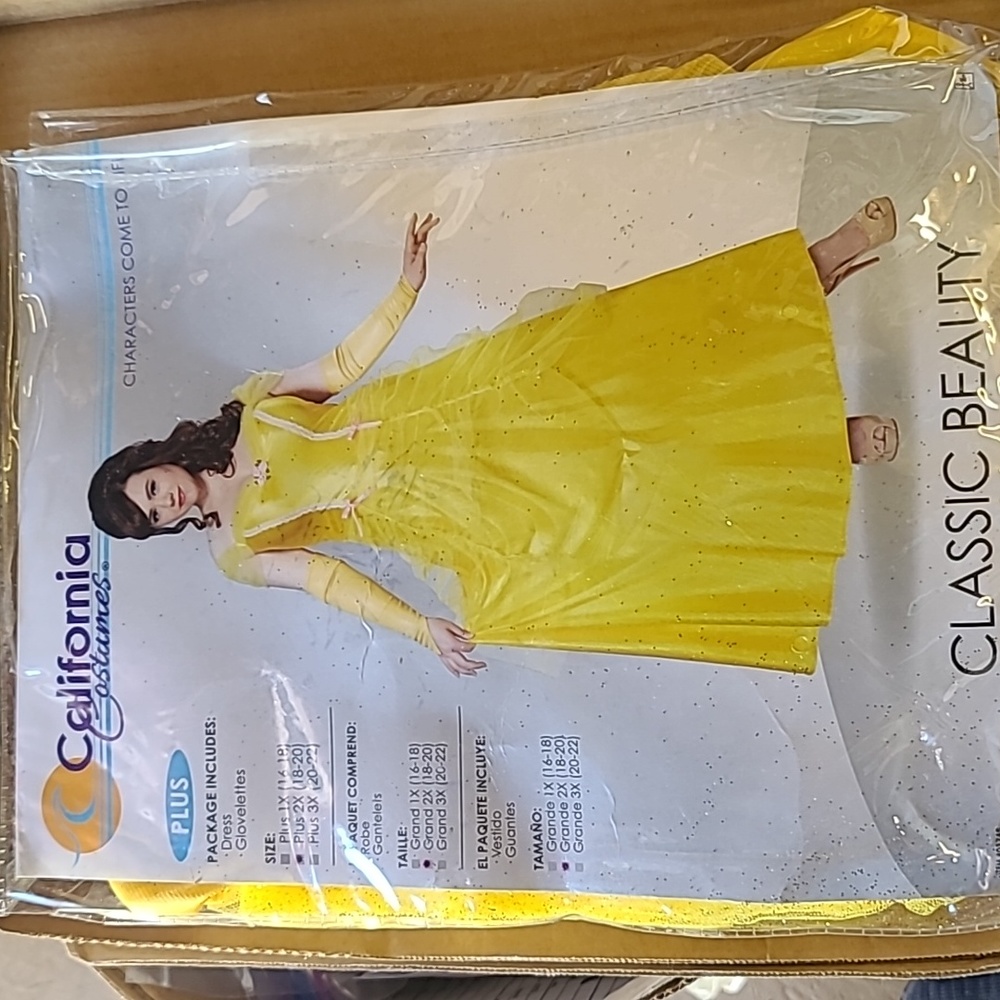 Lady costume